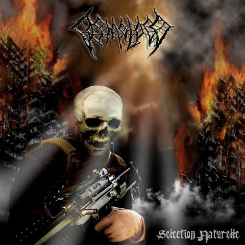 Sélection Naturelle cover